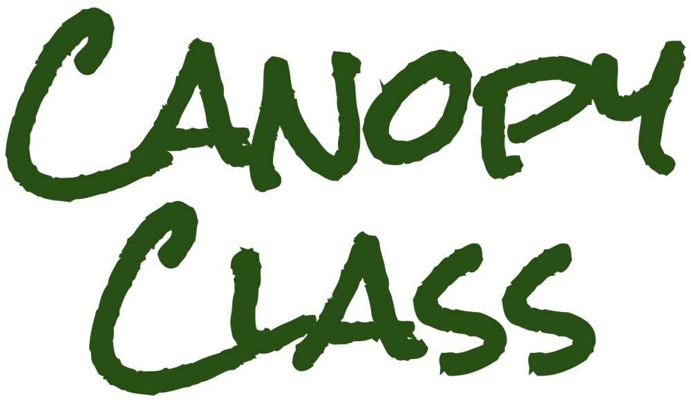 Home Page [canopyclass.com]